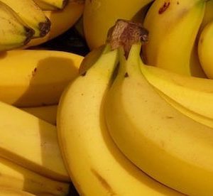 a large collection of yellow ripe bananas