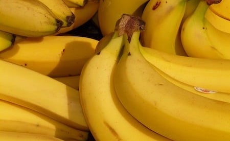 a large collection of yellow ripe bananas