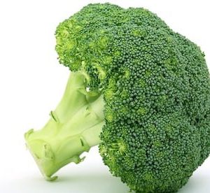 a single broccoli.