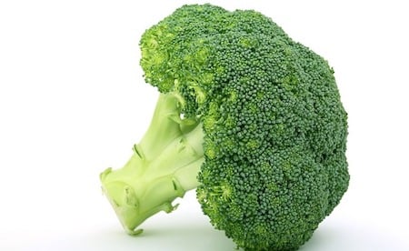 a single broccoli.