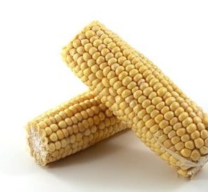 2 whole corns on the cob