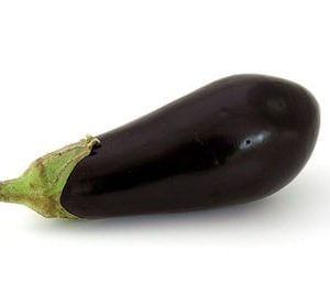 a single eggplant, aubergine
