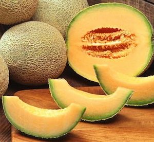 rockmelon, cantalope