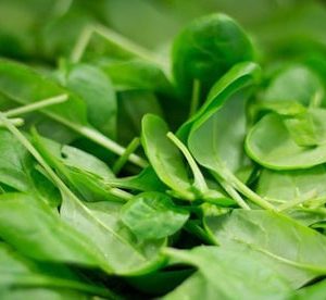 green baby spinach leaves